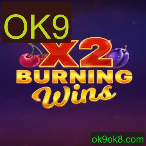 Explorando o Fascinante Universo de BurningWinsX2 com a Chave OK9