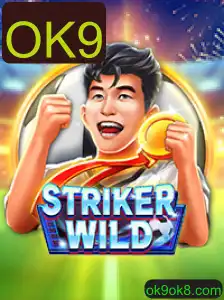 Explorando o Universo de StrikerWILD: Um Guia Completo